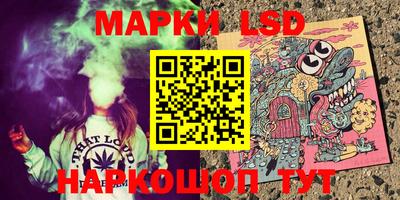 индика Гай