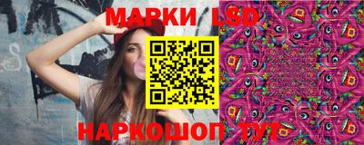индика Гай