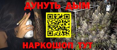 индика Гай