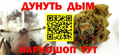 индика Гай