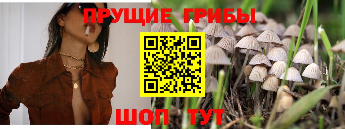 Псилоцибиновые грибы ЛСД  Вход с VPN  Михайловск  Галлюциногенные грибы мицелий 